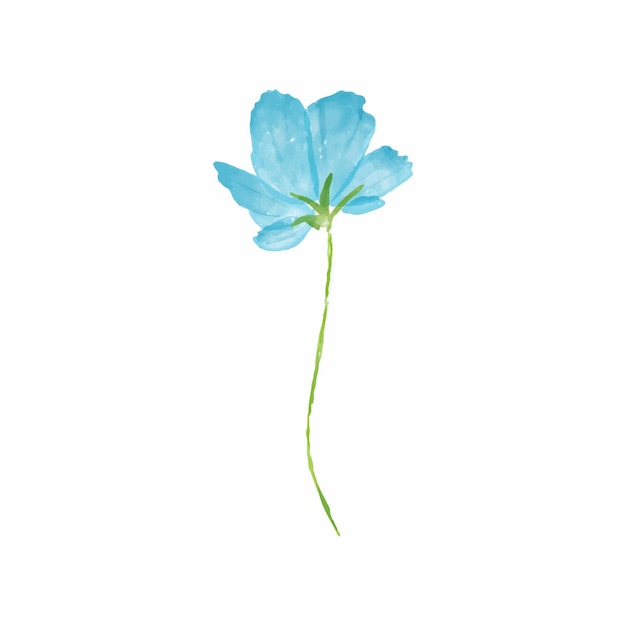 Vector vector illustration watercolor flower