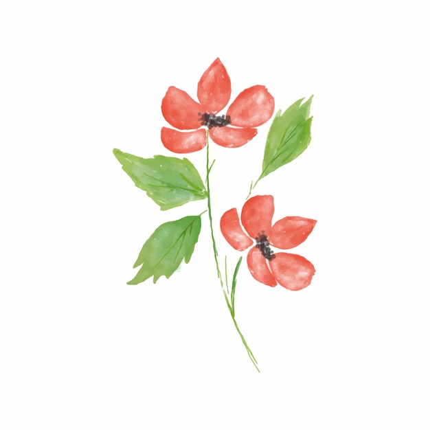 Vector illustration watercolor flower