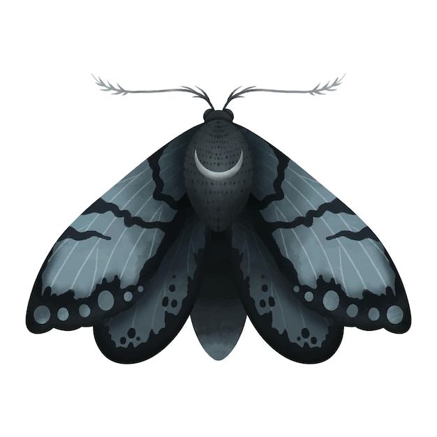 벡터 벡터 일러스트 레이 션 흰색 절연 어두운 파란색 색상의 수채화 나방. 밤 신비로운 나비