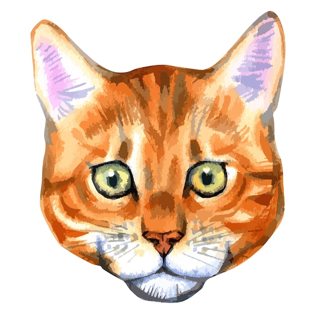 Vector vector illustration of watercolor portrait of bengal cat