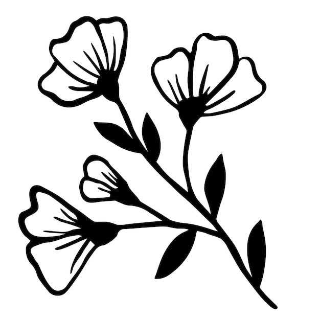 Vector illustration of a wildflower hand drawn Botanical element isolated on white background