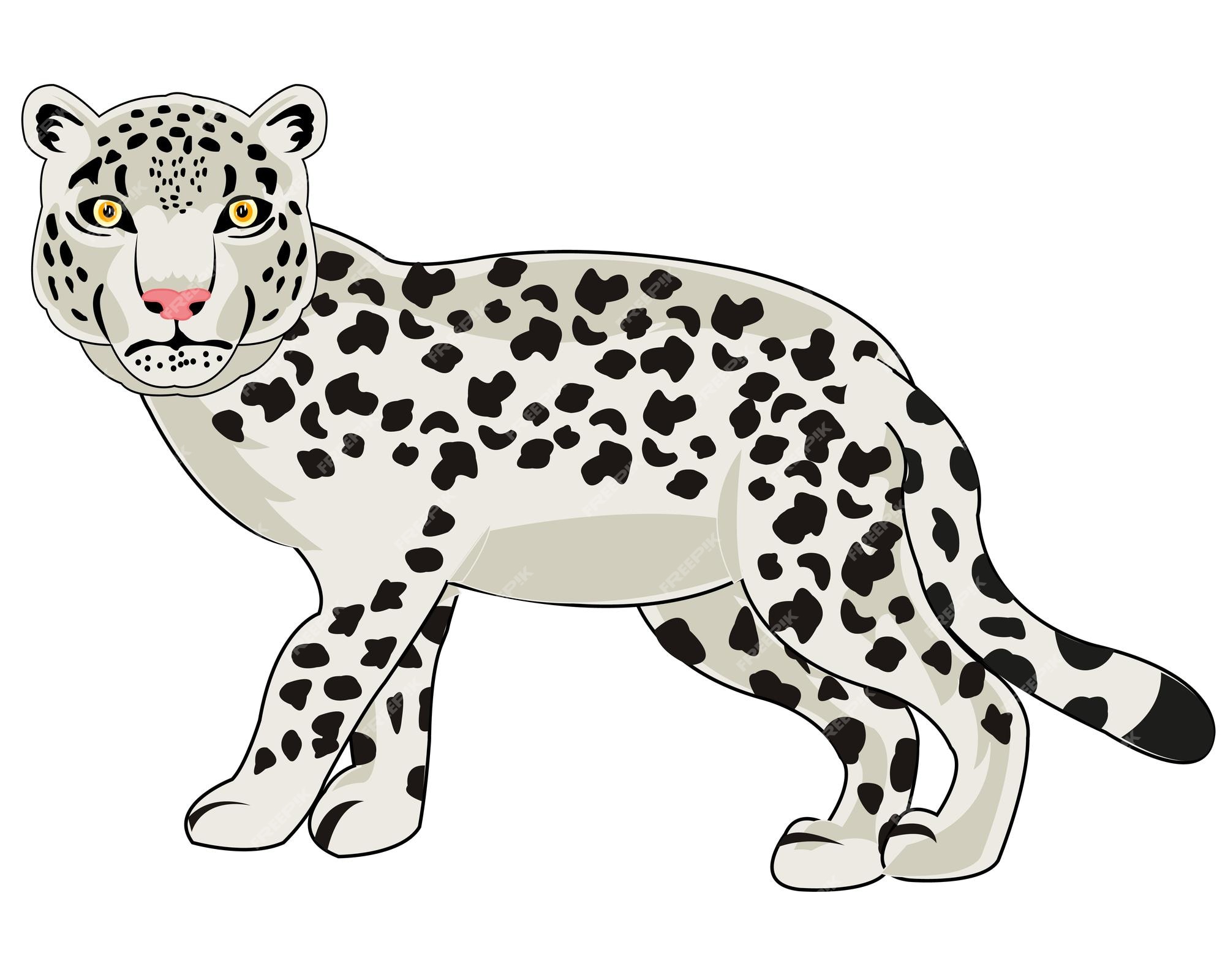 Premium Vector | Vector illustration of the wildlife snow snow leopard  cartoon