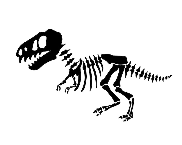 Vector illustration with dinosaur skeleton isolated on a white background