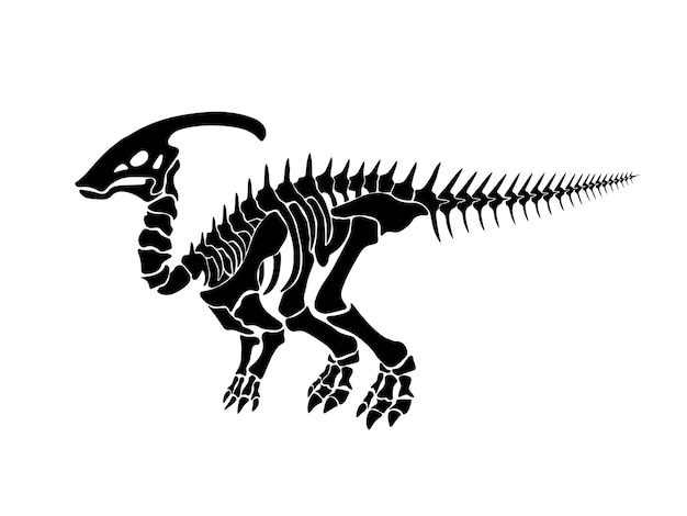 Vector vector illustration with dinosaur skeleton isolated on a white background.