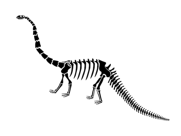 Illustrazione vettoriale con scheletro di dinosauro isolato su sfondo bianco.