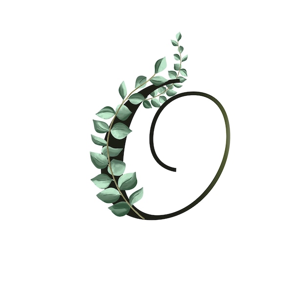 Vector vector illustration with eucalyptus leaves floral alphabet