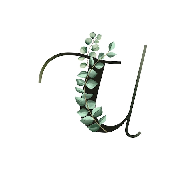 Vector vector illustration with eucalyptus leaves floral alphabet