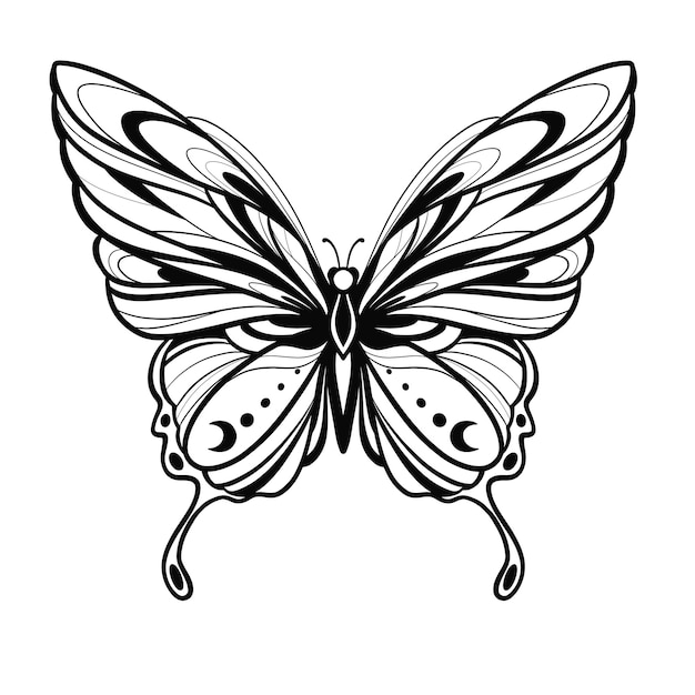 Vector illustration with hand drawn butterfly with moon black linear shape for you design tattoo or magic craft