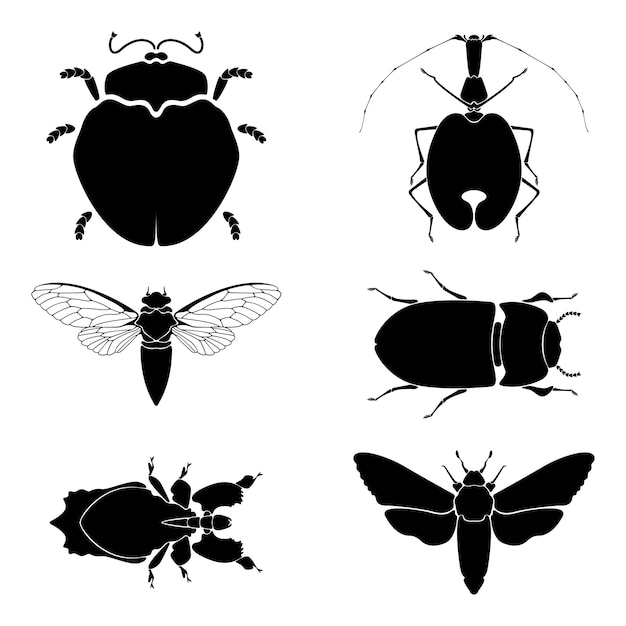 Illustrazione vettoriale con sagome di insetti isolati su sfondo bianco collezione di silhouette vettoriali di insetti da giardino set di sagome di insetti