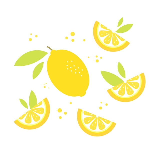 Vector illustration with lemon leaves and splashes