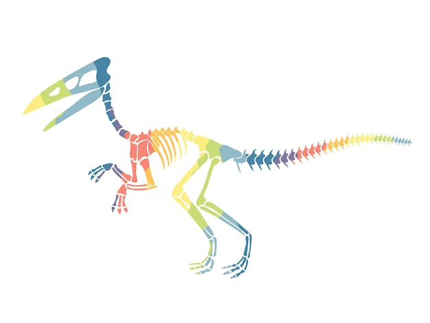 Vector illustration with rainbow dinosaur skeleton isolated on a white background