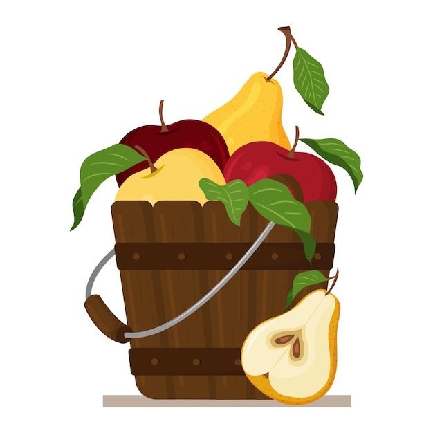 Vector illustration of a wooden fruit bucket isolated on a white background. Apples and pears