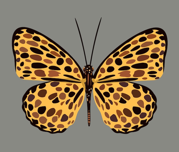 어두운 반점이 있는 노란 나비의 벡터 삽화. 회색 배경에 고립. 이국적인 밝은