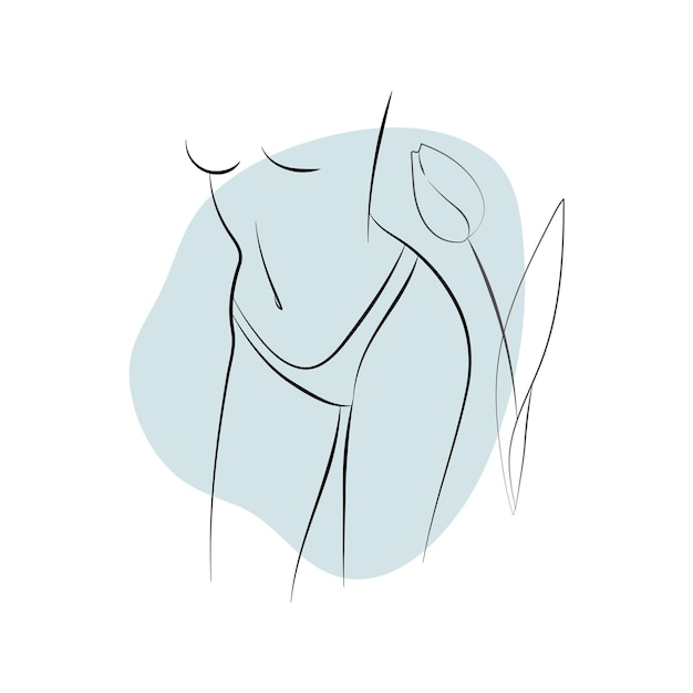 Woman Body Line Drawing Images - Free Download On Freepik