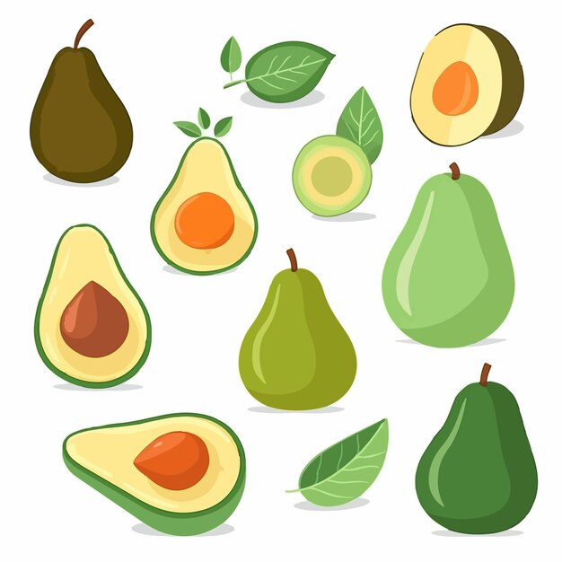 Vector vector illustrations of avocado smoothies