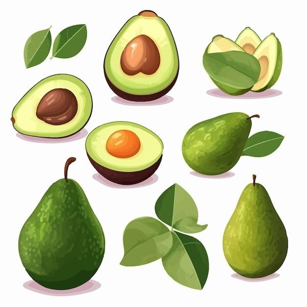 Vector vector illustrations of avocado trees