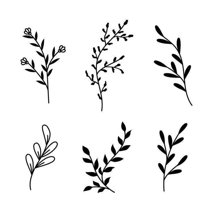 Vector vector illustrations of branches and leaves hand drawn black floral elements vintage botanical design