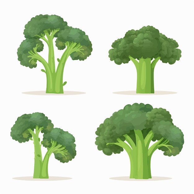 Vector illustrations of broccoli paired with other healthy foods such as carrots or peppers