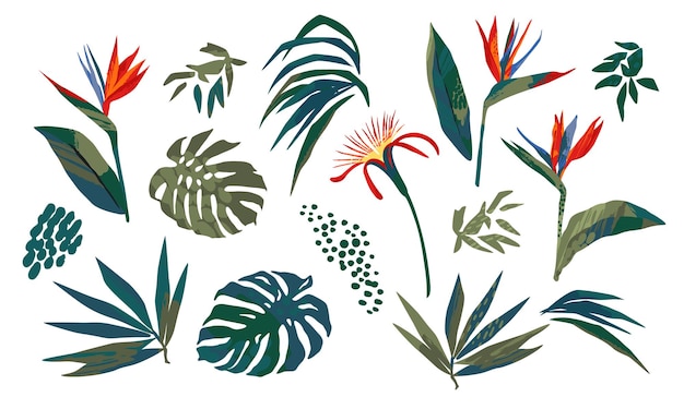 Vector vector illustrations of tropical leaves. clipart, isolated elements.