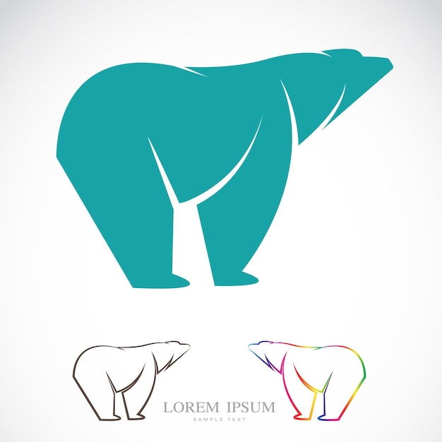 Vector image of an bear on white background