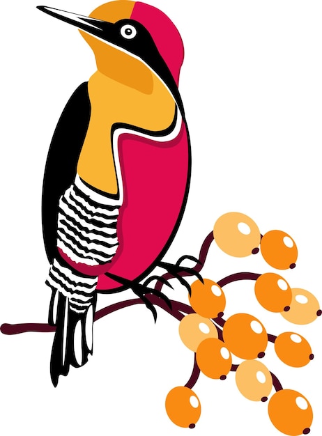 Vector image of a beautiful bird on a branch with berries on a white