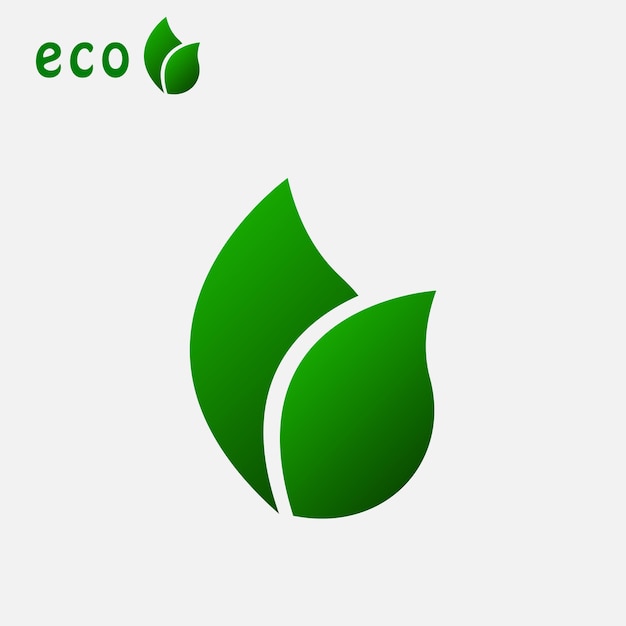 Vector vector image of beautiful green leaves suitable for a logo green leaves freshness