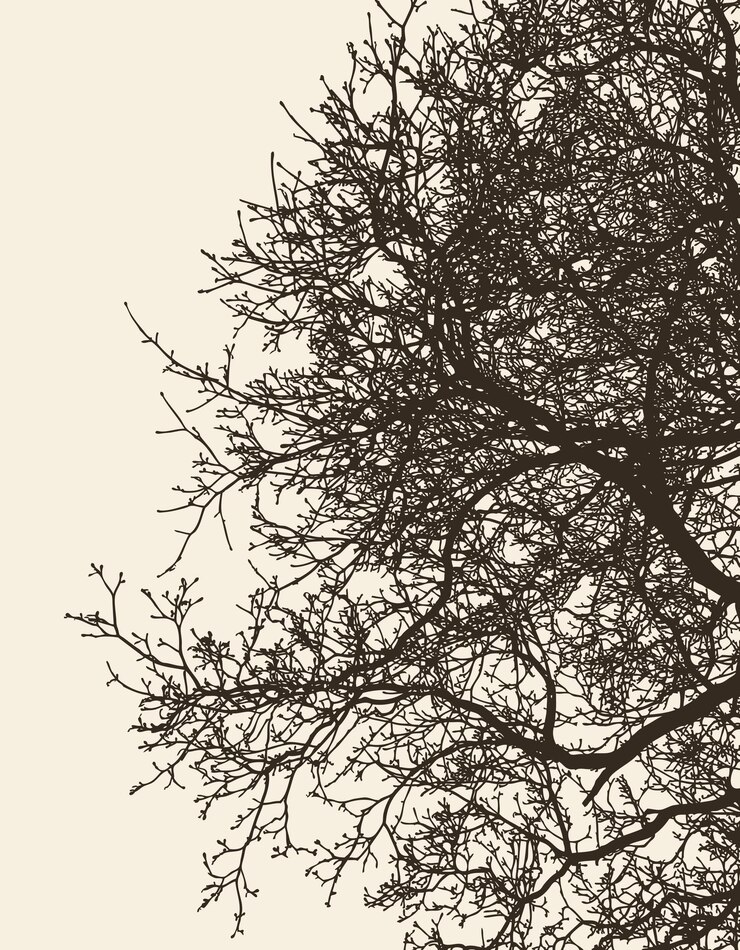 Vector vector image of branches deciduous tree in cold season