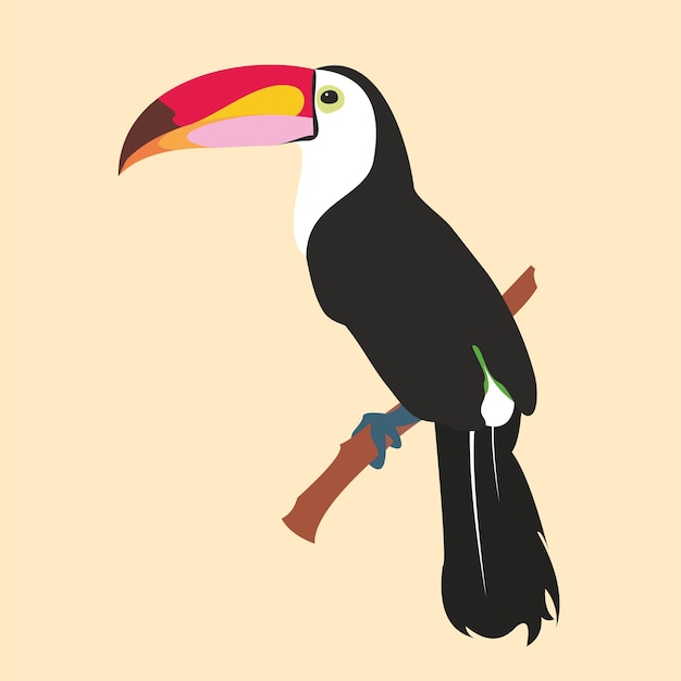 Vector image of a bright tropical Toucan bird on a floral background tropical nature