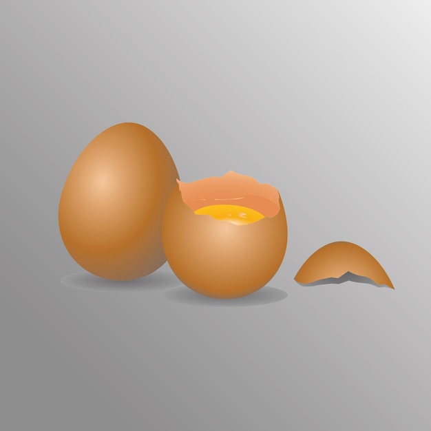 vector image of a broken egg