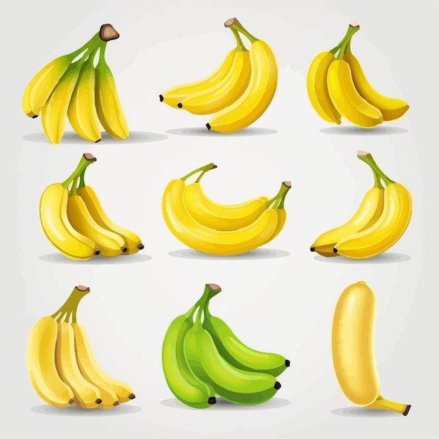 Vector image of a bunch of ripe bananas