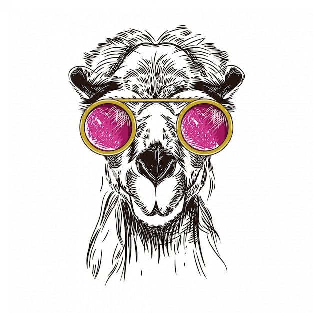 Vector image of a camel in pink glasses