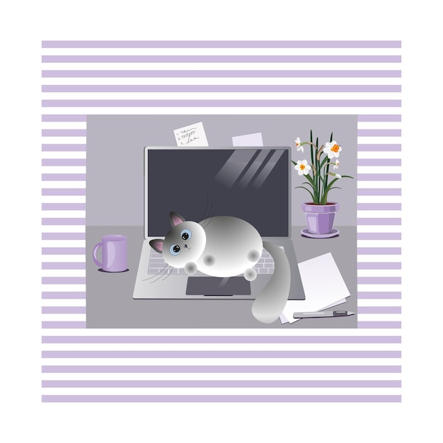 векторное изображение кота на ноутбуке кот
