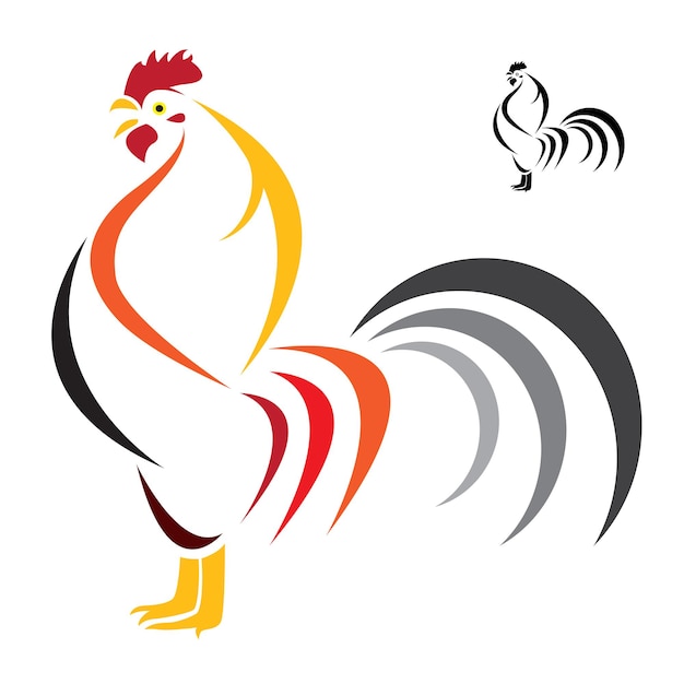 Vector image of an cock on white background