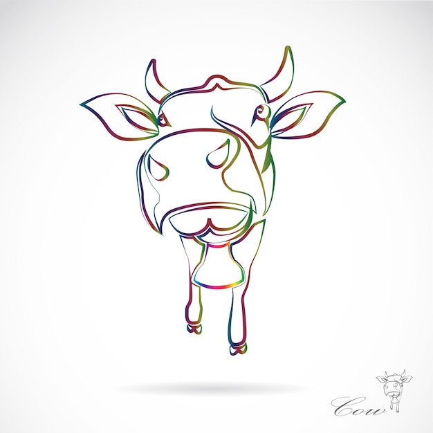 Vector image of an cow on white background