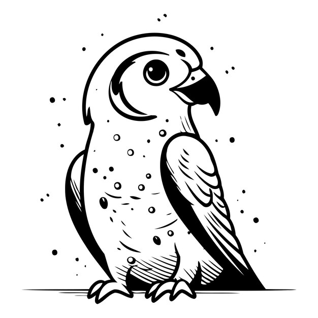 Vector image of a cute cartoon parrot on a white background