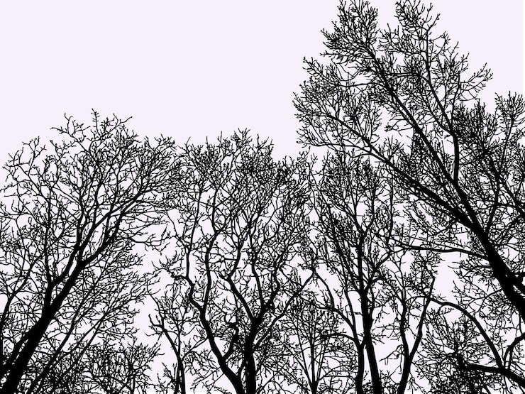 Vector vector image of deciduous trees silhouettes in winter woodland