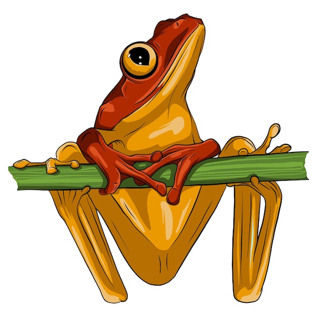 Vector vector image of an frog design on white background vector frog for your design