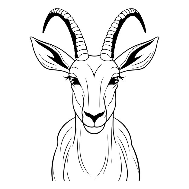 Vector vector image of a goat head on a white background black and white illustration