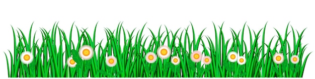 Vector vector image of green grass and pink and white daisies