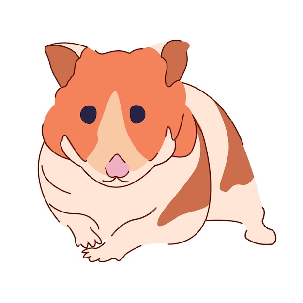 Vector vector image of a hamster, pet illustration