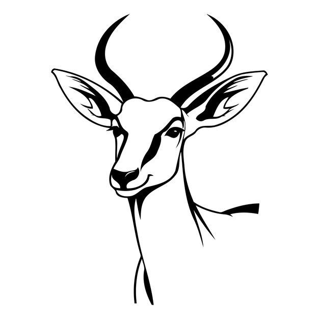 Vector image of the head of a gazelle Antelope