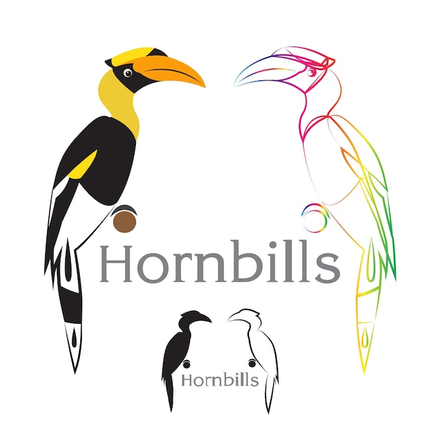 Vector image of an hornbill