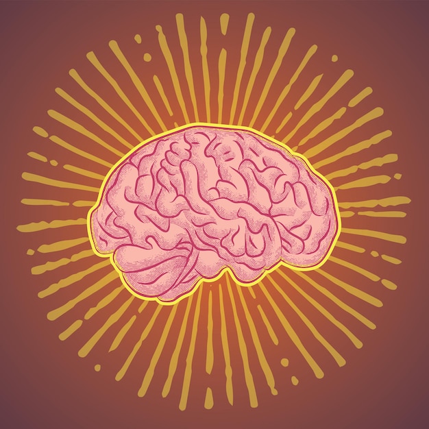 Vector vector image of human brain in art style