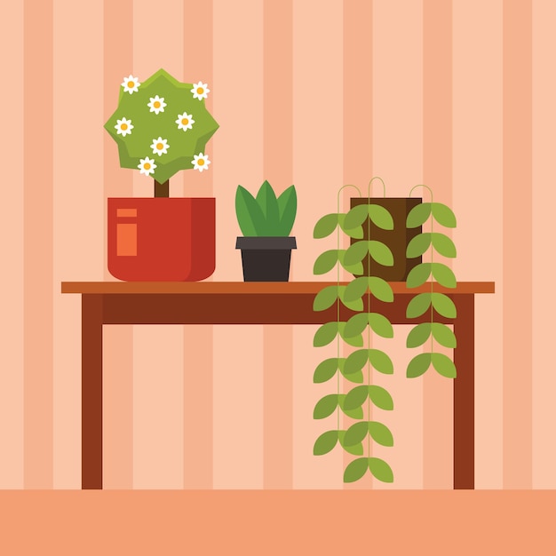 Vector vector image of indoor plants in pots isolated on transparent background