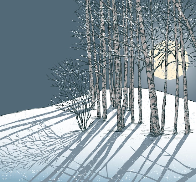 vector image of a night winter landscape