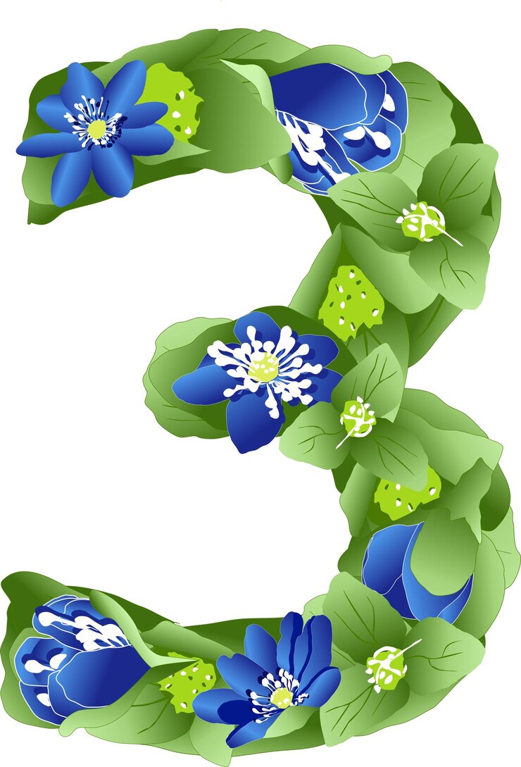 वेक्टर vector image of the number 3 in the form of flowers and leaves of liverwort