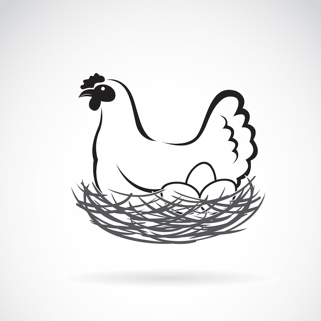 白い背景の上の巣に卵を産む鶏のベクトル画像