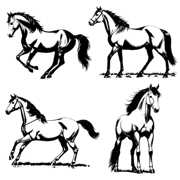 ベクトル 馬のベクトル画像 ビンテージ馬のイラスト