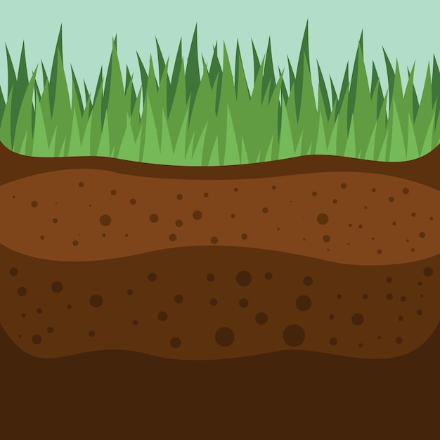 Вектор Векторное изображение слоев почвы и травы, изолированных на прозрачном фоне