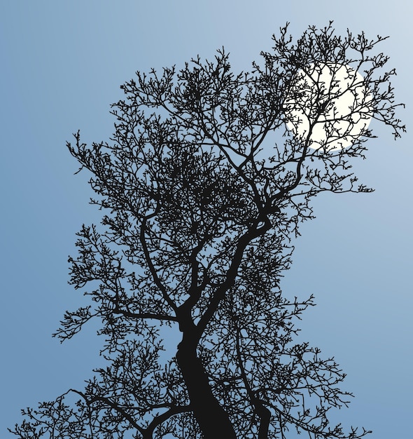 Вектор Векторное изображение силуэта дерева в холодную лунную ночь